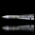 AIM-54C Missile Inert Replica 1:1 Size (Scalable)